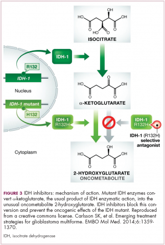 Figure 3. Mechanism of action of IDH inhibitors